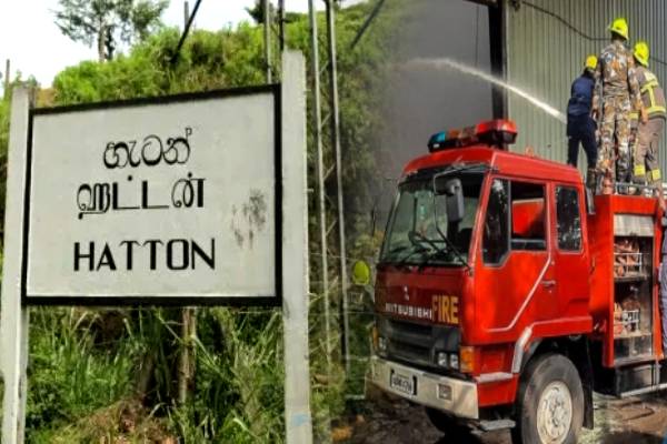ஹட்டன் வனப்பகுதி தீக்கிரை: அடையாளம் தெரியாதவர்களுக்கு எதிராக விசாரணை | Fire Breaks Out In Hatton Forest Reserve