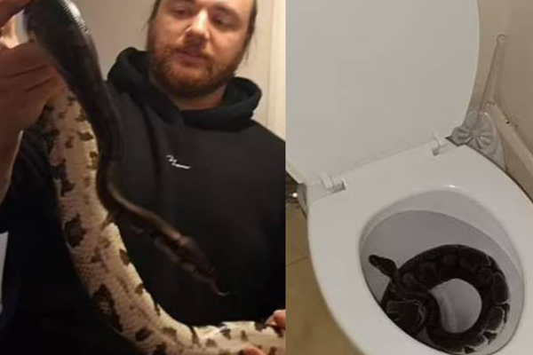 பிரித்தானியாவில் நள்ளிரவில் கழிவறைக்கு சென்ற பெண்ணுக்கு காத்திருந்த அதிர்ச்சி! | Shock That Awaited The Woman Went To The Bathroom