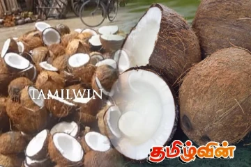 இலங்கையில் வேகமாக அதிகரிக்கும் தேங்காயின் விலை - நெருக்கடியில் மக்கள்