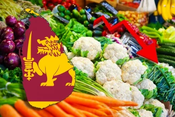 தம்புள்ளை சந்தைக்கு வரும் மரக்கறிகளின் மொத்த வரத்து குறைவு: அதிகரித்த விலைகள்!