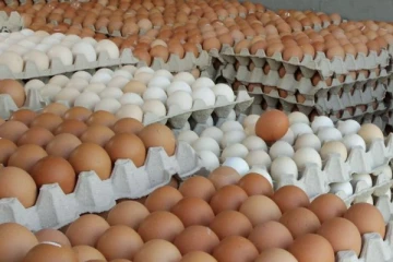 බිත්තර ආනයනය ගැන අලුත් තීරණයක්