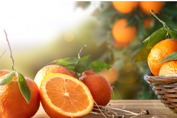 கொலஸ்ட்ராலை குறைத்து இதயத்திற்கு பலம் தரும் அற்புத பழம் | An Amazing Fruit Cholesterol Strengthens Heart கொலஸ்ட்ராலை குறைத்து இதயத்திற்கு பலம் தரும் அற்புத பழம் | An Amazing Fruit Cholesterol Strengthens Heart