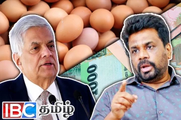 முட்டையின் விலை ஆயிரம் ரூபாயாக அதிகரிக்கும் : ரணில் எச்சரிக்கை