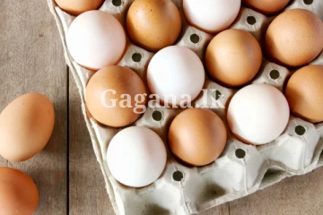 බිත්තරයක් රුපියල් 35කට.. - බිත්තර මිල ගැන අලුත්ම තත්ත්වය.