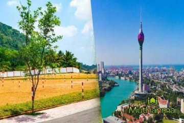 இலங்கையில் காணி விலைகளில் ஏற்பட்டுள்ள மாற்றம்