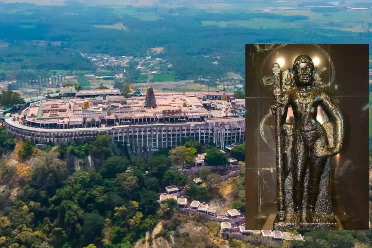 பழனி முருகனை இந்த நாளில் மட்டும் தரிசனம் செய்து விடாதீர்கள்.. காரணம் இதோ. | When Is The Right Day To Worship Palani Murugan