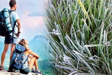 நுவரெலியாவில் பனிப்பொழிவு! படையெடுக்கும் சுற்றுலாப் பயணிகள்