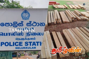 வவுனியாவில் மரக்கடத்தல் முறியடிப்பு