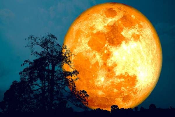 வானில் இன்று இரவு தென்படவுள்ள சூப்பர் மூன் | Supermoon Shines Over Vap Poya Day
