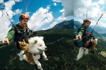 பாரா கிளைடிங்கில் பறக்கும் நாய்: வைரலாகும் காணொளாி