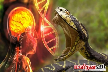 இப்படியும் ஒரு நோயா? இந்த நோய் உள்ளவர்களுக்கு பயம் என்ற உணர்வே இருக்காது!