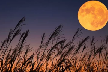 துருப்பிடித்து வரும் நிலவு ; ஆய்வில் வெளியான புதிய தகவல்