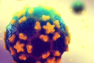 ஜேர்மனியில் கழிவுநீர் மாதிரியில் போலியோ வைரஸ்