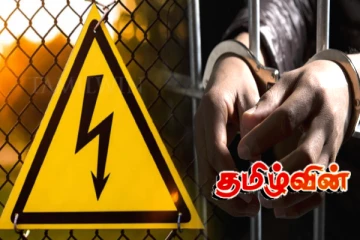 மின்சாரம் தாக்கியதில் இருவர் உயிரிழப்பு: ஒருவர் கைது!