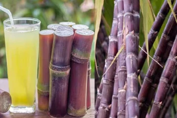 ஒரு துண்டு கரும்பால் உடலுக்கு கிடைக்கும் நன்மைகள் எவையென தெரியுமா?