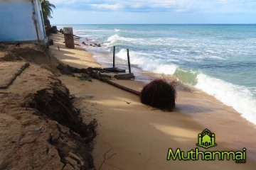 இலங்கையில் பாரிய கடலரிப்பு! கரையோரப் பாதுகாப்புத் திணைக்களம் வெளியிட்ட தகவல்