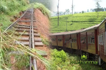 இன்று முதல் மீண்டும் இயக்கப்படும் பல அலுவலக தொடருந்துகள்!