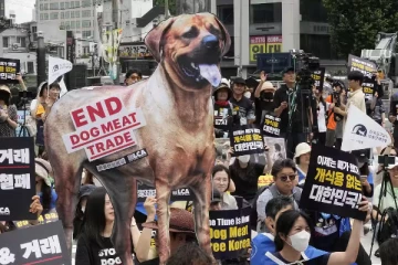 நாய்களை கொன்றாலோ, இறைச்சியை விற்றாலோ மூன்றாண்டு சிறை., பிரபல ஆசிய நாட்டில் புதிய சட்டம்