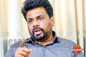 ජාතියක් ජම්මයක් නැති අය තමයි ඉතිහාසය එපා කියන්නේ - ජනපතිගෙන් සැර උත්තරයක්