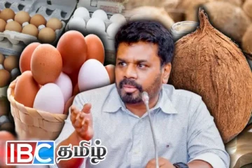 சந்தையில் பொருட்களின் விலையேற்றம்...! அநுர அரசை கடுமையாக சாடும் முன்னாள் எம்.பி.
