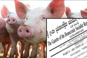 பன்றிக் காய்ச்சல் நிலைமை காரணமாக வெளியாகவுள்ள வர்த்தமானி