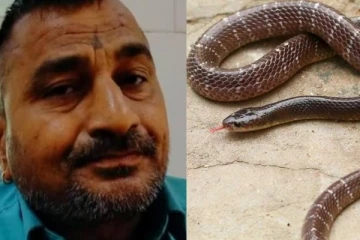 பாம்பு தன்னை கடித்த கோபத்தில் அதை சாப்பிட்ட நபர்! பின்னர் நடந்த நம்பமுடியாத ஆச்சரியம்