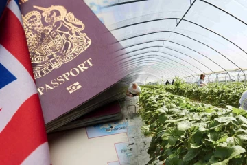 UK Seasonal Worker visa: ஒரு நல்ல செய்தியும் ஒரு கெட்ட செய்தியும்