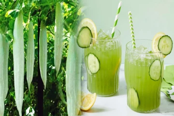 உடல் எடையை வேகமாக குறைக்கணுமா? ஒரு கிளாஸ் புடலங்காய் ஜூஸ் குடிங்க