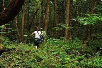 காட்டுப்பகுதியில் கண்டுபிடிக்கப்பட்ட பெண்!