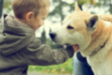 குழந்தைகளை தாக்கிய நாய்...ஆபத்தான நிலையில் வைத்தியசாலையில் அனுமதி