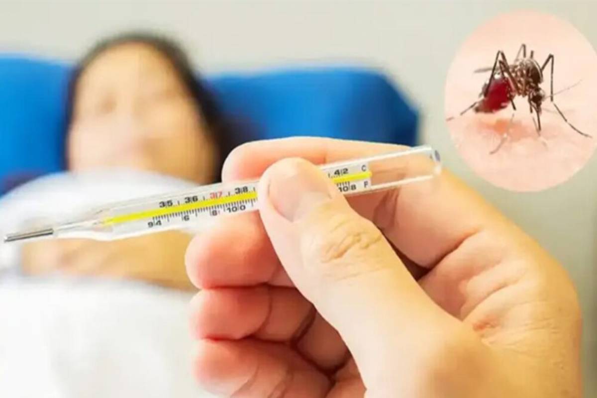 அதிகரிக்கும் டெங்கு மரணங்களின் எண்ணிக்கை... | Dengue Deaths On The Rise அதிகரிக்கும் டெங்கு மரணங்களின் எண்ணிக்கை... | Dengue Deaths On The Rise