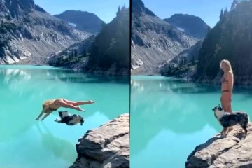 இளம் பெண்ணுடன் நீச்சல் குளத்தில் டைவ் அடிக்கும் நாய்! பொறாமையில் கொந்தளிக்கும் இணையவாசிகள்