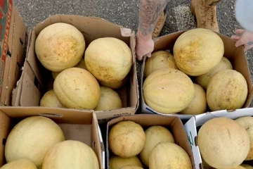 கனடாவில் கிர்ணி பழத்தில் பயங்கர கிருமிகள்: ஆறாவது நபர் உயிரிழப்பு