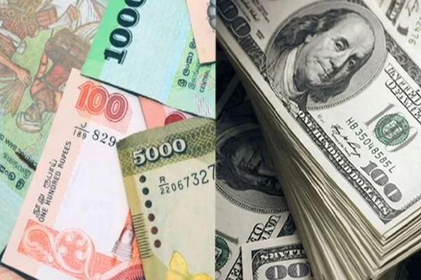 டொலருக்கு நிகரான ரூபாவின் பெறுமதியில் இன்று ஏற்பட்ட மாற்றம் | Dollar Rate In Sri Lanka Banks Today Usd To Lkr