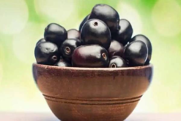தொங்கும் தொப்பையை காணாமல் ஆக்கும் நாவல்பழ சட்னி... எப்படி செய்வது? | Navalpazham Chutney Recipe And Health Benefits