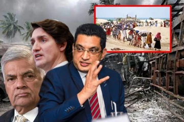 இலங்கையில் இனப்படுகொலை இடம்பெறவில்லை: கனடா தான் பயங்கரவாதிகளின் புகலிடம் என்கிறார் அலி சப்ரி