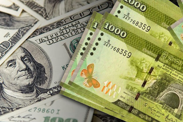 டொலருக்கு நிகரான ரூபாவின் பெறுமதி | Value Of The Rupee Against The Dollar