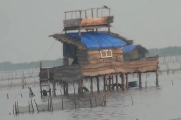 யாழில் கடலட்டைப் பண்ணை அமைப்பதற்கு கடற்றொழிலாளர்கள் கடும் எதிர்ப்பு (Photos)