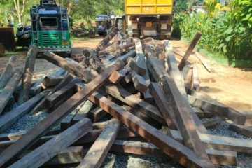 பாலைமரக்குற்றிகளை கடத்தியவர் கைது(Photos)