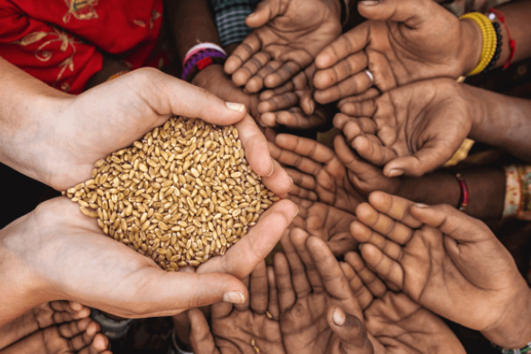 இலங்கையில் உணவு பாதுகாப்பற்றோர் விகிதம் குறைந்தது | Food Insecurity Rate Decreases In Sri Lanka