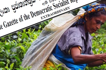 தோட்டத் தொழிலாளர்களின் சம்பள விவகாரம்! எதிர்ப்பு வெளியிட்டுள்ள முதலாளிமார் சம்மேளனம்