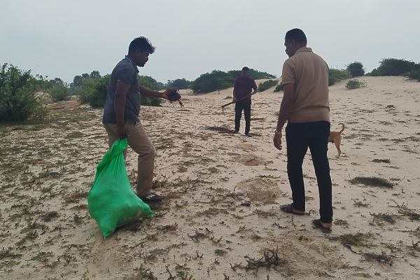 குடத்தனை வடக்கு கிராமத்தில் பனை விதை நடுகை | Planting Of Palm Seeds In Kudathanai North Village குடத்தனை வடக்கு கிராமத்தில் பனை விதை நடுகை | Planting Of Palm Seeds In Kudathanai North Village