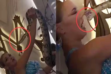 Viral Video: பெண்ணின் மூக்கை பதம்பார்த்த பாம்பு... கடைசியில் நடந்தது என்ன?