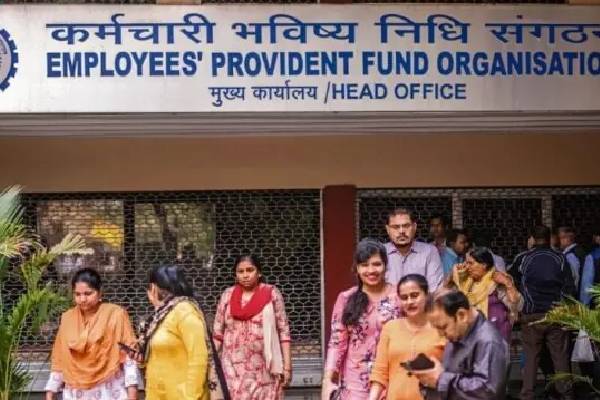 PF balance-யை ஒரே கிளிக்கில் தெரிந்து கொள்ள வேண்டுமா? இது மட்டும் செய்தால் போதும் | How To Check Pf Balance Easy