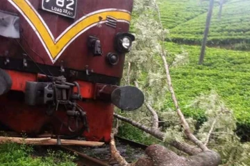 தொடருந்து திணைக்களம் வெளியிட்டுள்ள அறிவிப்பு