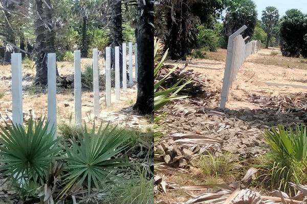 தனியார் காணியில் சட்டவிரோத இராணுவ வைத்தியசாலை: எம்.ஏ. சுமந்திரன் எதிர்ப்பு | Illegal Military Hospitals On Private Land