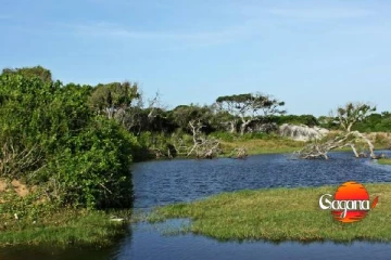 ආපදා හේතුවෙන් වසා දැමුණු වන උද්‍යාන සහ සංචාරක නිවාස කිහිපයක් යළි හෙට සිට විවෘතයි