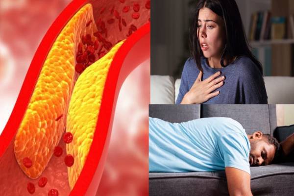 கொலஸ்ட்ரால் அதிகரிப்பதற்கான காரணங்கள் என்ன... எப்படி கட்டுப்படுத்துவது? | Reasons For High Cholesterol Level How To Control