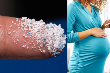 கருவையும் விட்டுவைக்காத நுண்ணிய அரக்கன்., கர்ப்பிணிப் பெண்களின் நஞ்சுக்கொடியில் microplastics