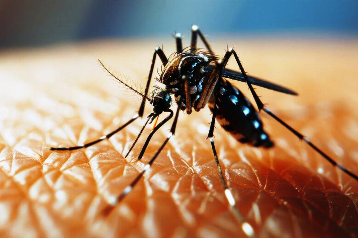 இலங்கை மக்களுக்கு வெளியான அவசர அறிவிப்பு...! | 19 Dengue Deaths Reported Risk Districts